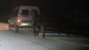 Atları kamyonetin arkasına bağlayıp koşturdu