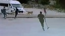 Sokak köpekleri küçük çocuğa saldırdı!