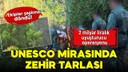 UNESCO mirasında zehir tarlası! Ekipler şaşırdı!