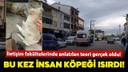 Bu kez insan köpeği ısırdı