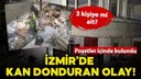 Poşetler içerisinde 3 kafatası ve kemikler bulundu