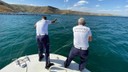 Elazığ’da kaçak av! 65 kilo balık ele geçirildi
