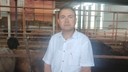 Sattığı dananın fotoğrafını çekerken öldü