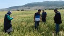 Karapınar’da Felaket sonrası zarar tespiti