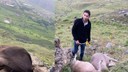 Hakkari'de yıldırım üç ineği telef etti