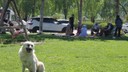 Bayburt’ta vatandaşlar piknik alanlarını doldurdu