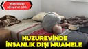 Bulgaristan'da huzurevi skandalı!