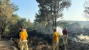 Urla'da çıkan orman yangınının sebebi belli oldu