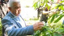 Düzce kestane ormanlarında doğa dostu mücadele