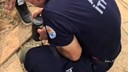 Kozan’da yavru kedi kurtarıldı
