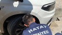 Kaputa giren yavru kedi kurtarıldı