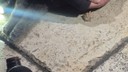Alevlerin arasından kurtarıldı