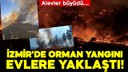 İzmir'de orman yangını!