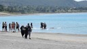 Salda Gölü’nde can pazarı!
