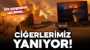 Ciğerlerimizi yakan yangınlarda son durum!