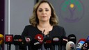 DEM Parti'den çarpıcı 'silah bırakma' açıklaması