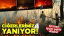 Ödemiş, Buca ve Çeşme'de son durum
