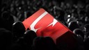 MSB acı haberi duyurdu: 5 şehidimiz var