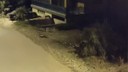 Samandağ’da 10 tanesi birden görüntülendi