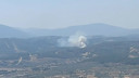 Muğla'da orman yangını!