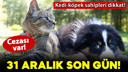 Kedi ve köpek sahipleri dikkat! 31 Aralık son gün