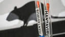 Hantavirüsün korkunç sicili ortaya çıktı
