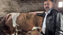 Tam 1  ton! Alıcısını bekliyor