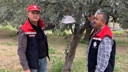 Zeytin üreticilerine kritik uyarı