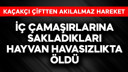 Kaçakçı çiftten akılalmaz hareket!