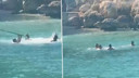 Mersin'de deniz ortasında sopalı kavga