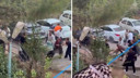 Pendik'te köpek havlaması kavgası
