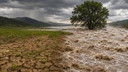 Çok güçlü bir El Nino geliyor