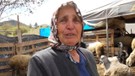 Kırıkkale’de koyunu değil sadece 1 tane kuzusu vardı. 1 tane kuzusundan sonra sayı 24 koyuna çıktı. Çiftçi ahıra gidip gördüğü manzara ile yıkıldı