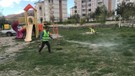Bayburt'ta 10.000'lercesi doğada teker teker akına geçti. Sırasıyla her yerde ortaya çıkacaklar. Hemen karşı harekete geçildi