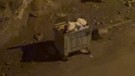 Erzurum'da 2 tanesi gece vakti çöpün kenarında ortaya çıktı. Doğanın korkunç hayvanını vatandaşlar gördü