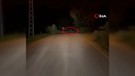 Karabük’te gece karanlığında 1 tanesi köy yolunda bir aracın önünde belirdi. Hemen fotoğrafını çekti