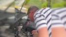 Karabük'te otomobilin motor kısmından bağırışlar geliyordu. Motoru açtıklarında karşılarında 1 tanesini gördüler