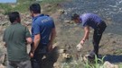 Van'da 2000'lerce hayvan ters yöne doğru akına geçti. Polisler 1 tanesine bile bir şey olmasın diye nöbet tutuyor