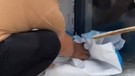 Sivas'ta bir okulun bahçesinde ortaya çıktı. 2 metreye yakın hayvan büyük panik yarattı. Tunceli, Elazığ, Erzincan siz de dikkat edin