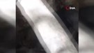 Tunceli'de vatandaşın doğa gezisi sırasında karşısına 1 tanesi çıktı. 1, 5 metre uzunluğundaki 1 tane hayvan 100 taneye bedeldi zaten