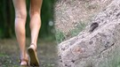 Afyonkarahisar'da doğada çalılıkların arasında 3 metre ile birden çıktı. Vatandaşlar daha bir kısmını görünce o beter hayvanı tanıdı