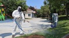 İstanbul'da Ataşehir'den büyük mücadele başladı! 100.000'lercesi her yerde gizlenen hayvana karşı dikkat
