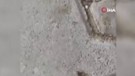 Elazığ'da köyde yaşayan çiftçinin karşısına bir anda ahır girişinde çıktı. 2 tane kafası vardı hayatında böyle bir şey görmemişti resmen kötüye alamet