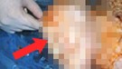 İzmir'deki çiftliğin içerisindeki ahırda hamile koyunun doğurmasıyla ortaya çıktı. 1 tane hayvanın yüzünü gören çiftçi resmen dehşete düştü