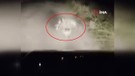 Elazığ'da 1 tanesi sürücünün önüne gece karanlığında çıkıp yine karanlığa daldı. 1 tane yaratığı resmen karşısında gördü ama normalde Doğu Afrika'da yaşıyor