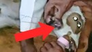 Çiftlikte ineği hamile olan adam, ahırın içerisine girdiğinde 2 tanesini ayrı yerden ona bakarken gördü. Haberi alan köylüler resmen köye doğru akına başladı