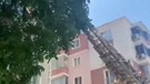 Bursa’da ağaçtan gelen acı acı sesler üzerine ekipler 1 çırpıda ağaca tırmandı. Dalların arasında onunla karşılaştılar