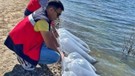 Kütahya’da 118.000 tanesi doğayla buluşturuldu. Saniyeler içerisinde her yerdeydiler