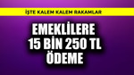 Emeklilere 15 bin 250 TL ödeme! İşte kalem kalem rakamlar