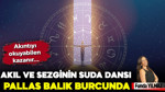 Akıl ve Sezginin Suda Dansı Pallas Balık Burcunda
